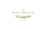 theolivebranchluxury.com