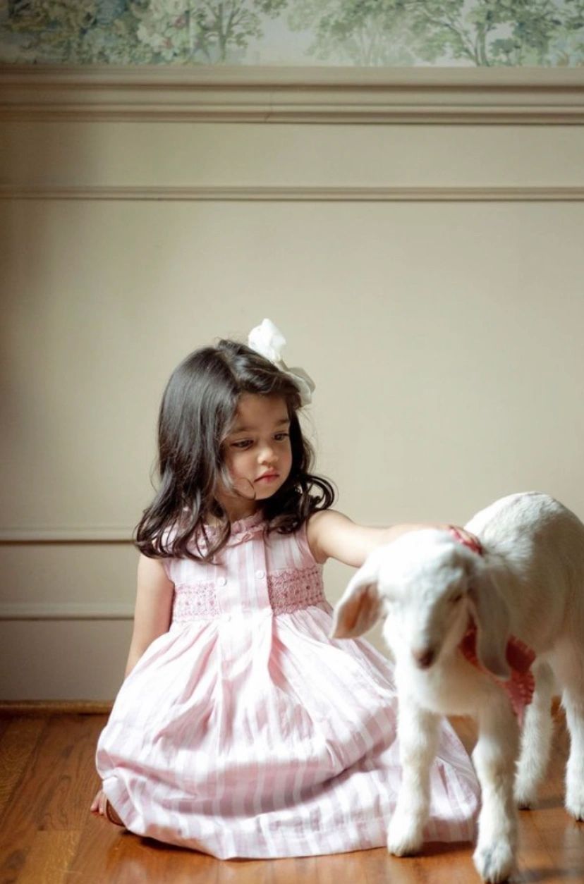 Mayfair Education Coaching