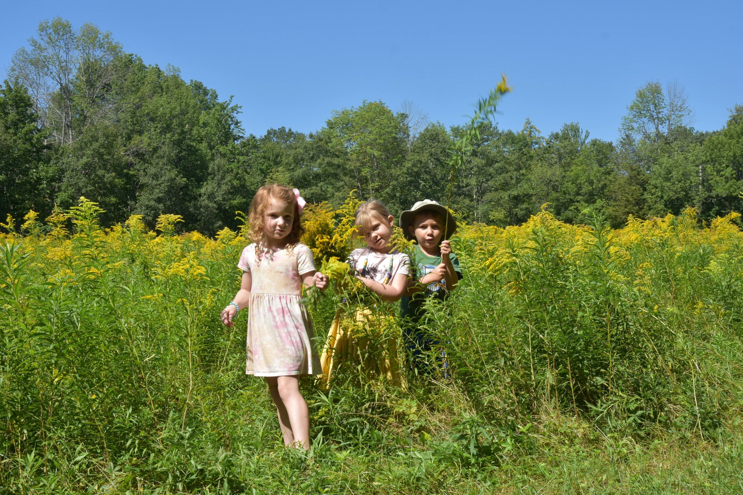 Little Farm School