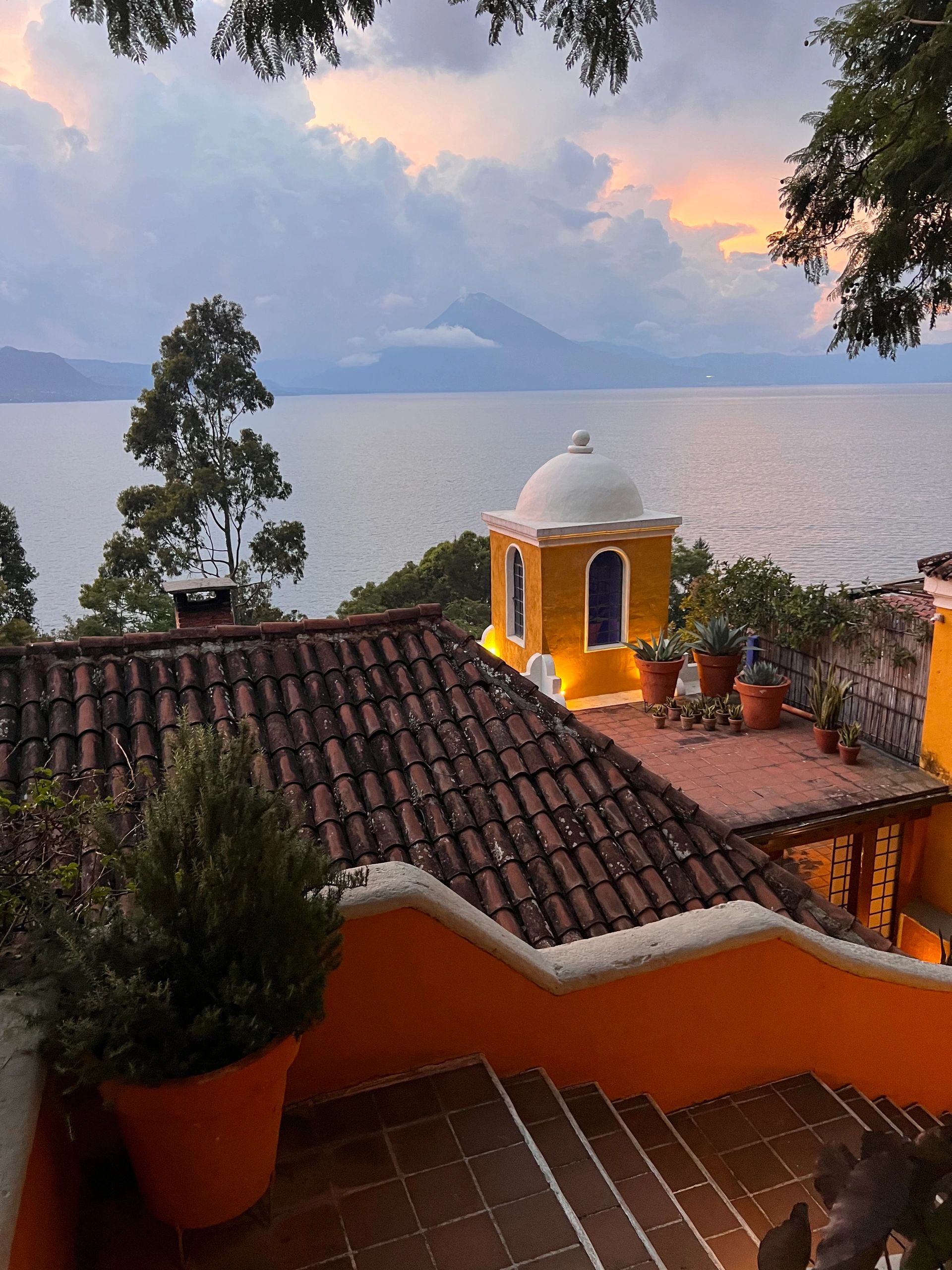 Where's Lexy Travel Guides