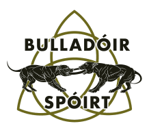 bulladoirspoirtamerica.com