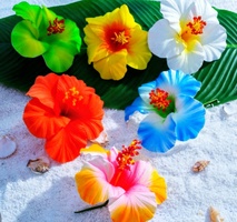 Hawaiian Lomi Lomi and Kahuna Massage