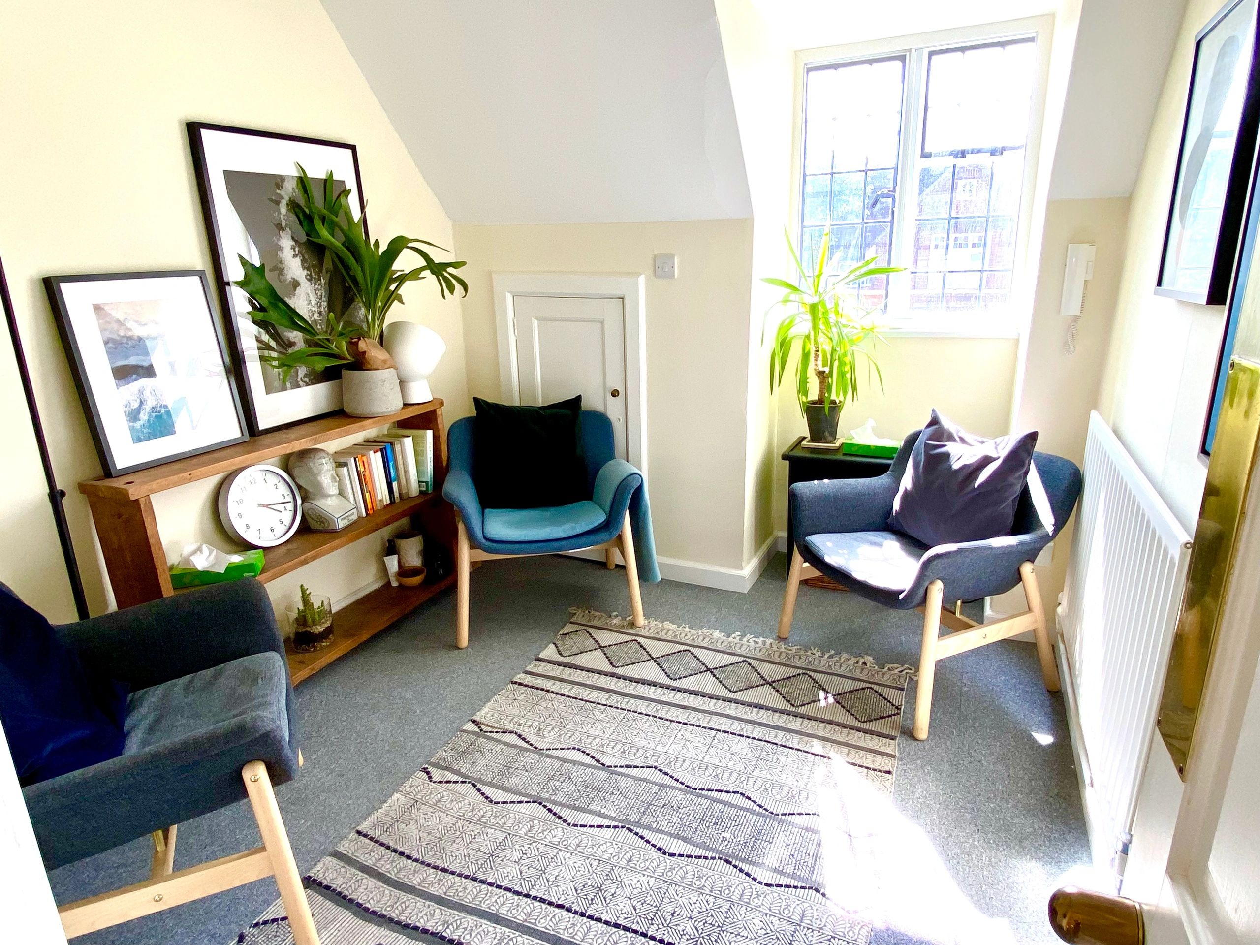 Dr Rachel Seymour, Petersfield Consulting room