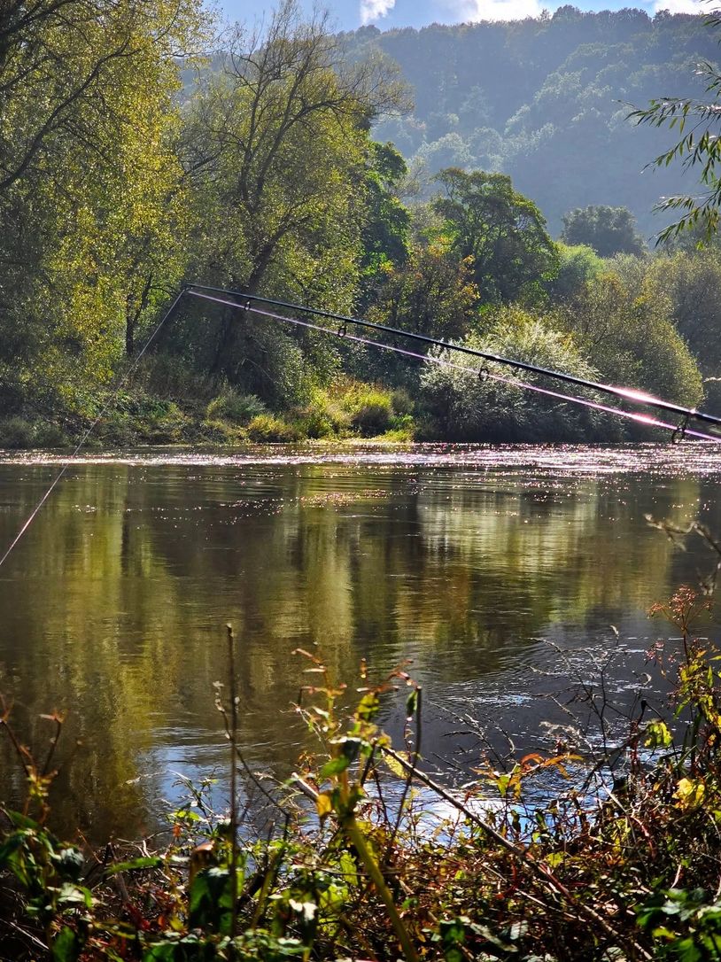 Fishing rods set up by a calm river surrounded by trees and hills.