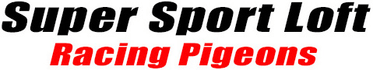 Super Sport Loft
