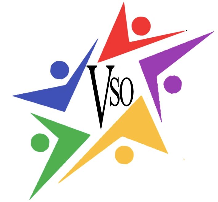 Village Schools Organization logo