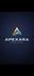 apexaracapital.com