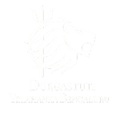 Durgastuti 