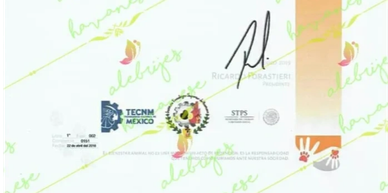 Certificate with logos, a signature, and a decorative border on the right.