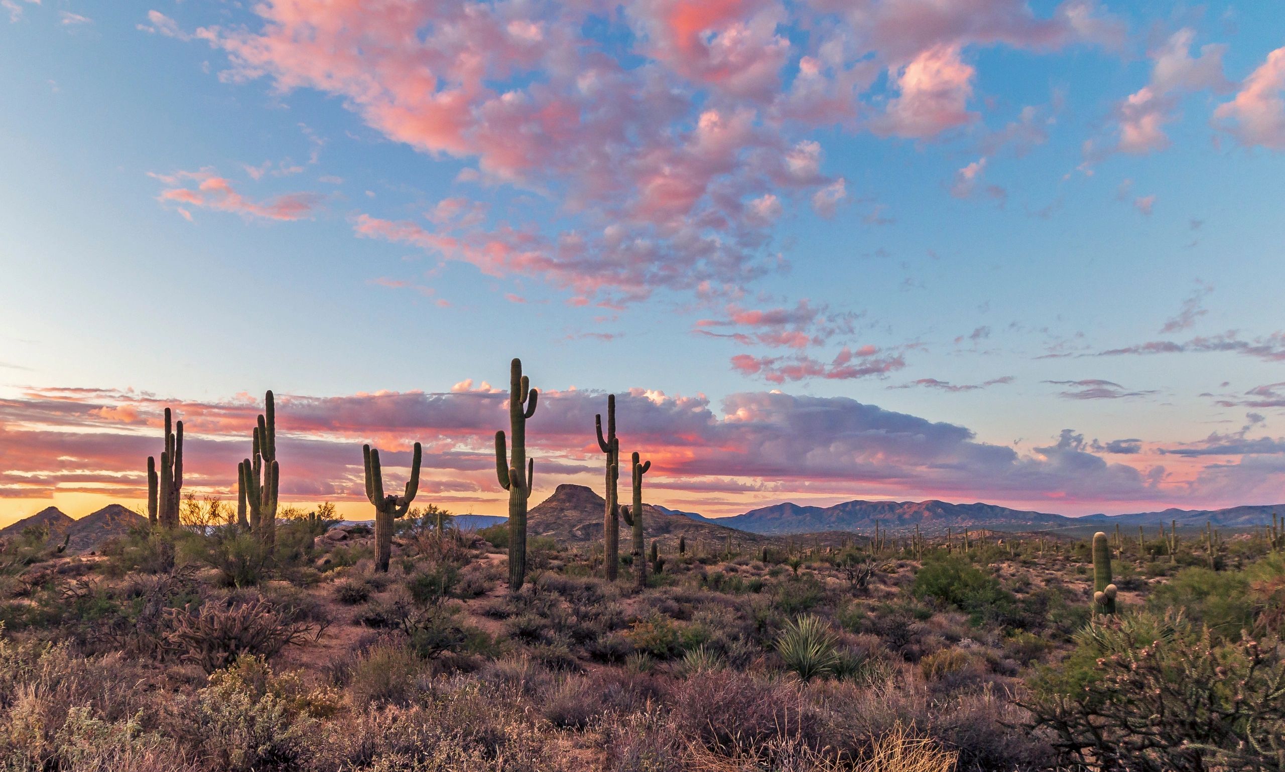 Guide to Scottsdale, Arizona in March