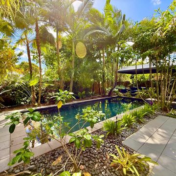 Sunny backyard with a pool surrounded by lush tropical plants and palm trees.