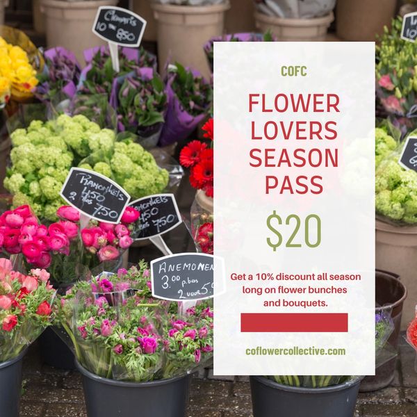 Season pass for flower lovers offering discounts on bouquets.