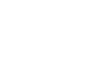 OTTAWA PARTY BUS