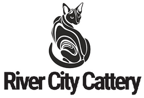 River City Cattery