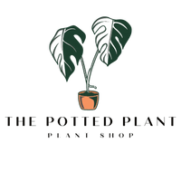 The Potted Plant