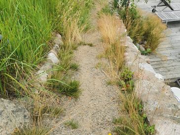 Weeding footpaths in Nacka