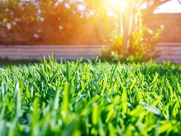 Lawn Care in Nacka