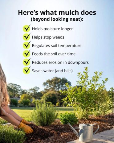 Mulch benefits: retains moisture, stops weeds, regulates temperature, feeds soil, reduces erosion, and saves water.