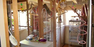 Client designed, Birdie Buddy built bird room with large walk in habitats.