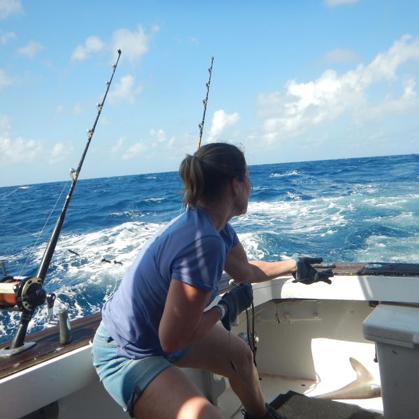 Blue Marlin Fishing in Grenada - FishingBooker