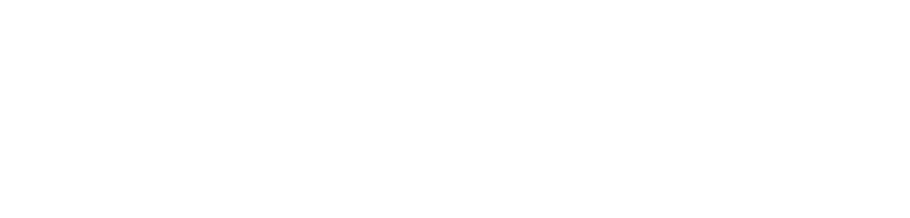 Sakkade