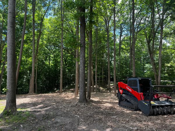 professional-land-clearing-and-forestry-mulching-services