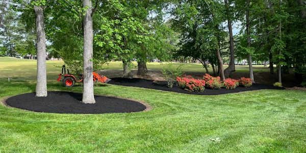 professional-land-clearing-and-forestry-mulching-services