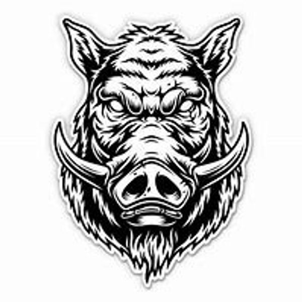 Black and white aggressive wild boar illustration.