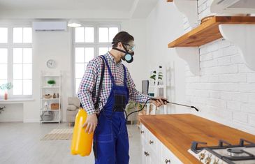 Worker in protective gear spraying pesticide in a kitchen.