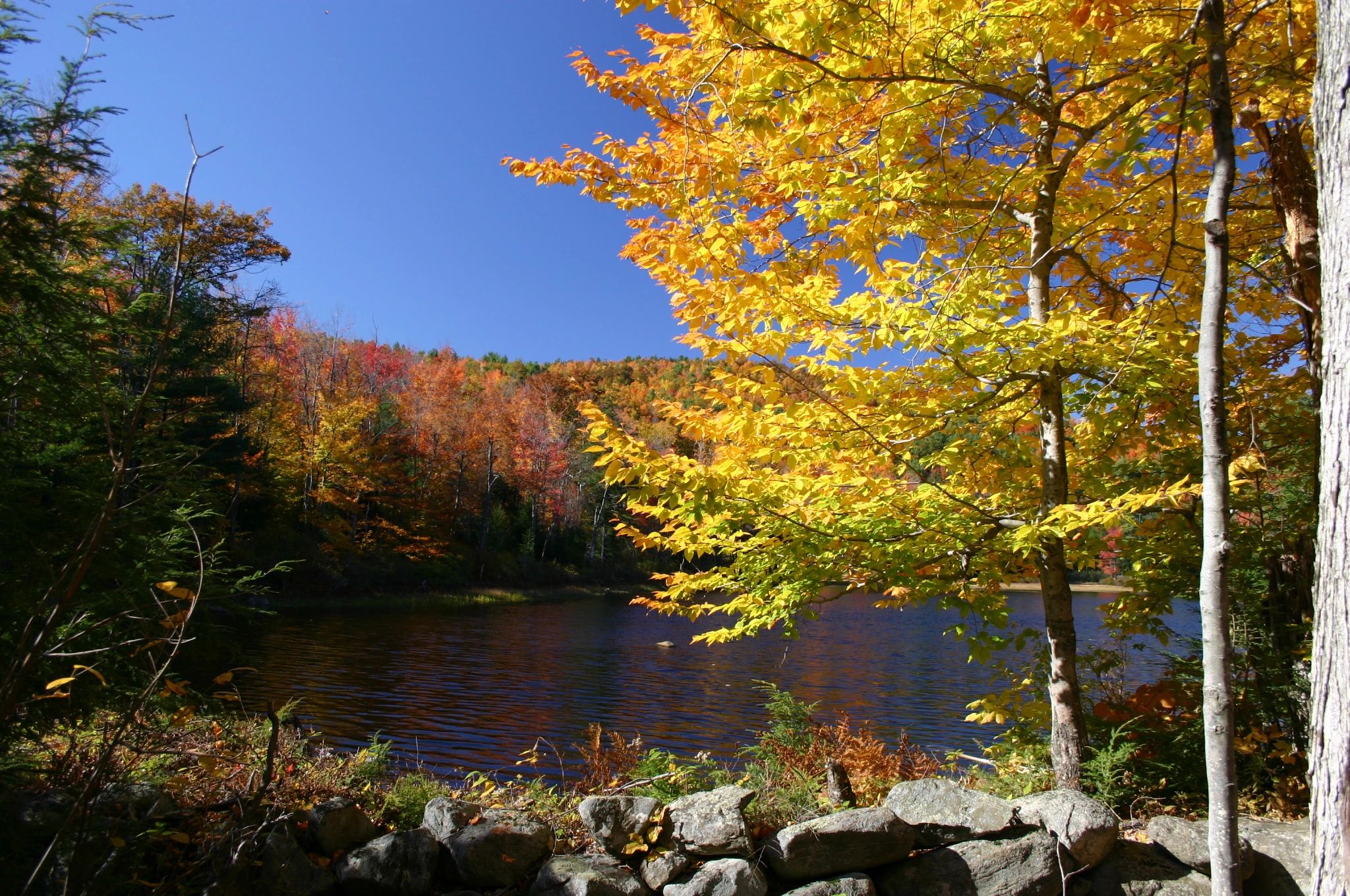 Town of Bridgewater, NH