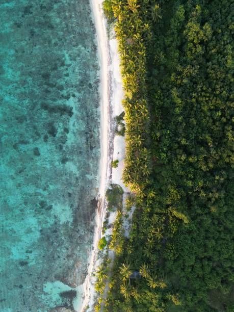 Buceo en Cozumel; hermoso sitio para una gran aventura