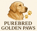 Purebred Golden Paws