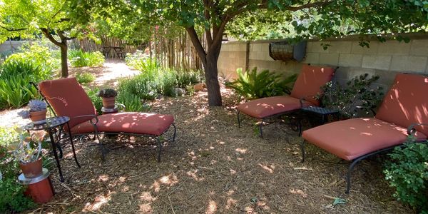 Outdoor seating / conversation area