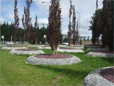 galway county council public works soft landscaping