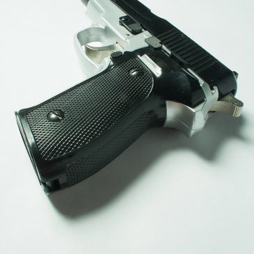 Gun