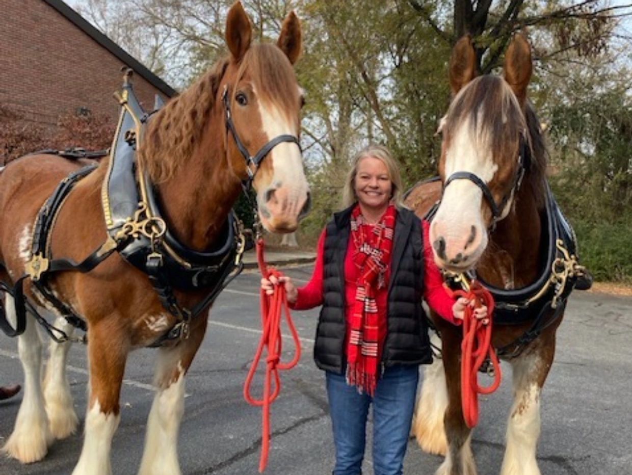 Woman standing with two large draft horses on a paved path.