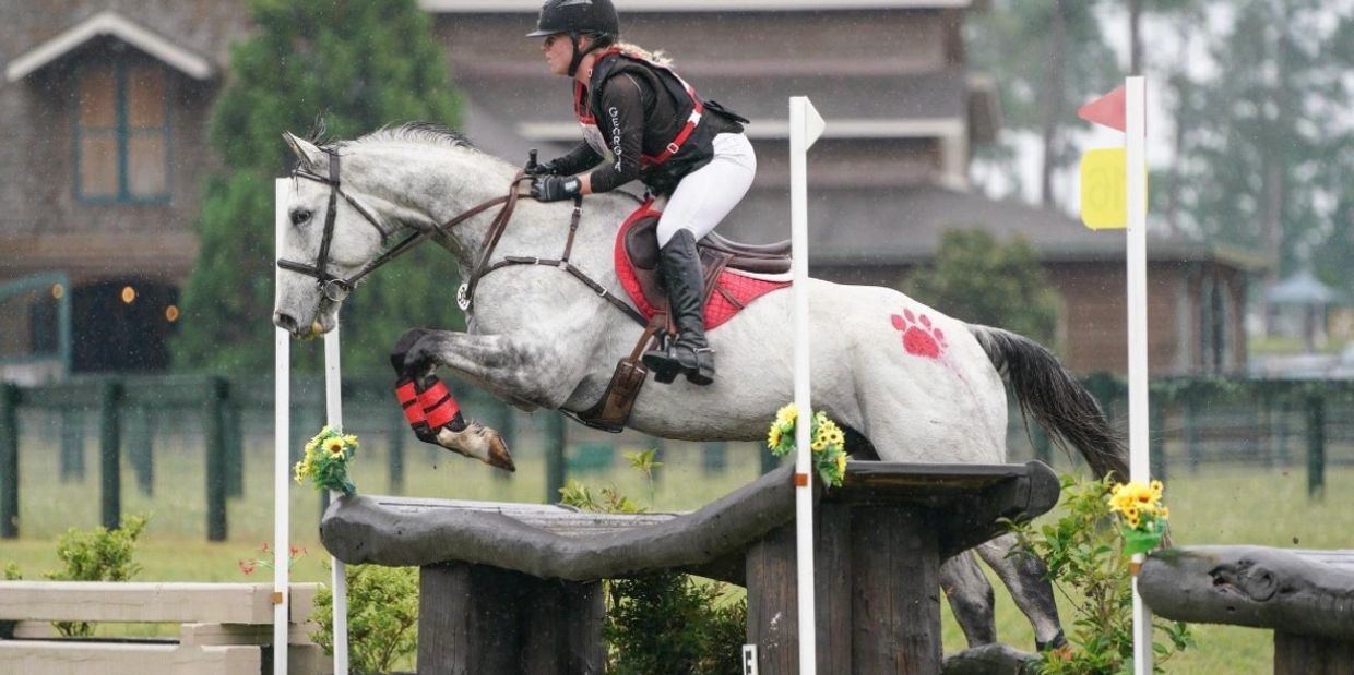 Equestrian rider and horse jumping over an obstacle in a competition.