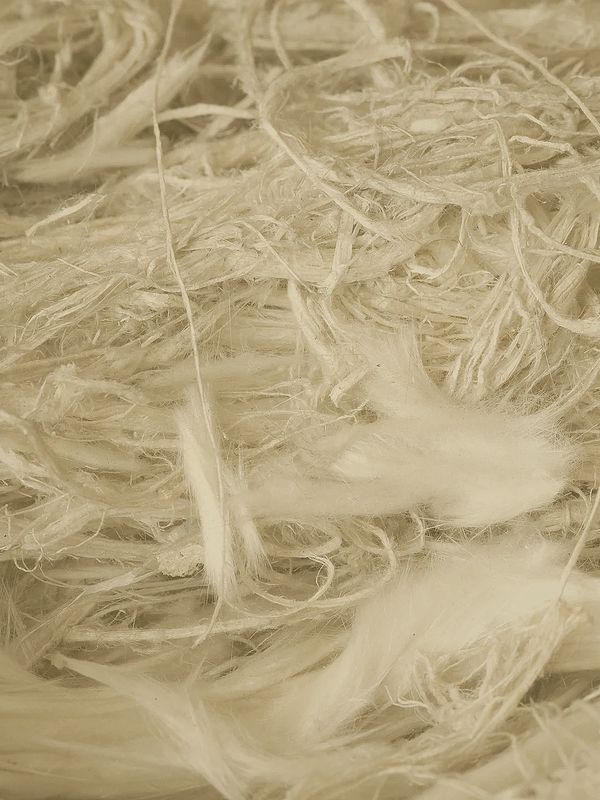 Long fibers that have not been further processed or cottonized into woven fabric grade fiber