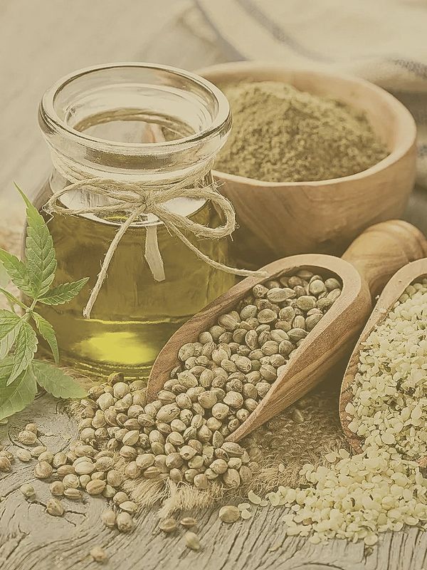 Hemp seed being displayed in its varying forms; raw, pressed into oil, dry powder, hemp hearts