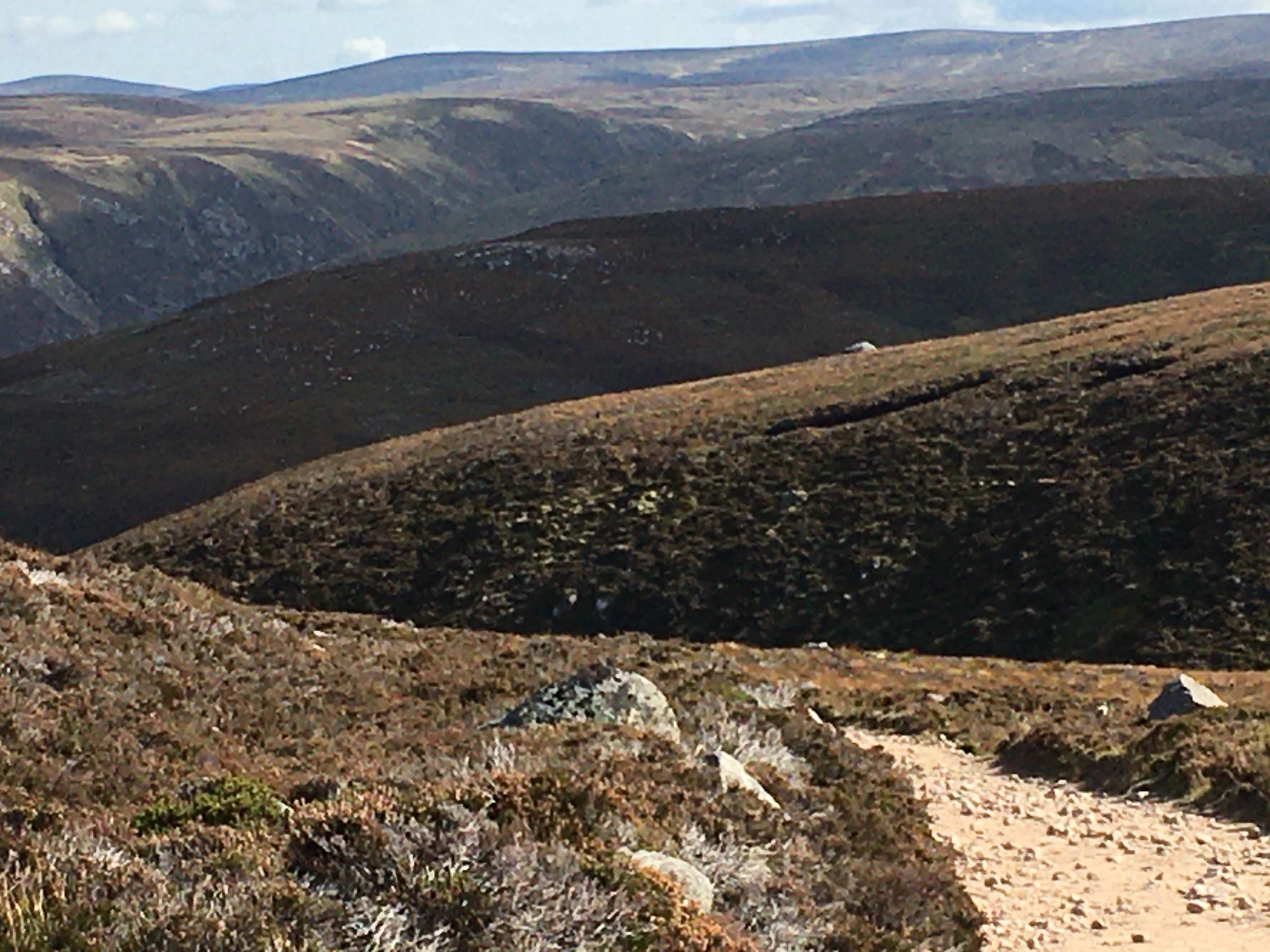 Facilitation And Design