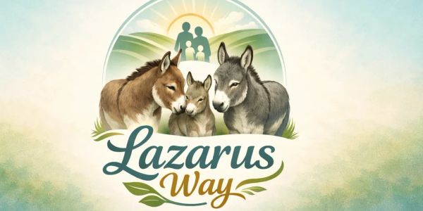 Lazarus Way Logo has a family of 3 Donkeys to the front of the image and a family of 4 in the back g
