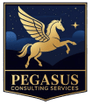 Pegasus Consulting Services