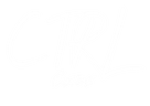 ctrlcustoms.uk
