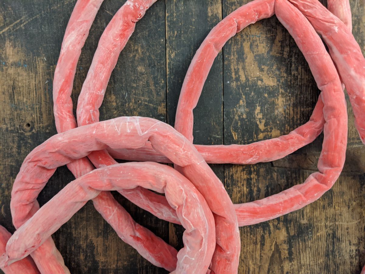 Fake Latex Intestines Prop