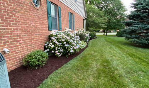 Freshly mulched flower beds on the side of a house.