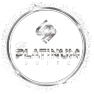 The Platinum Suite