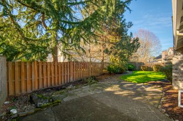Sunny backyard with trees, a wooden fence, and a concrete patio.