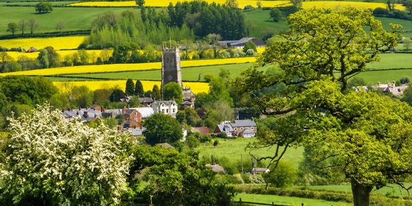 Lush countryside village with blooming trees and patchwork fields.