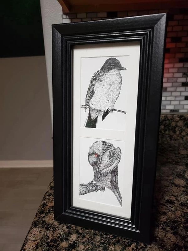 Portraits of two birds created by Jackie Davis