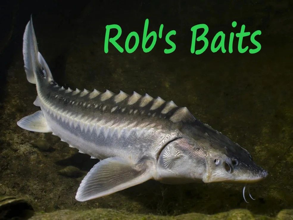 Baitup - Fishing Bait, Sturgeon Bait, Trout Bait, Salmon Bait